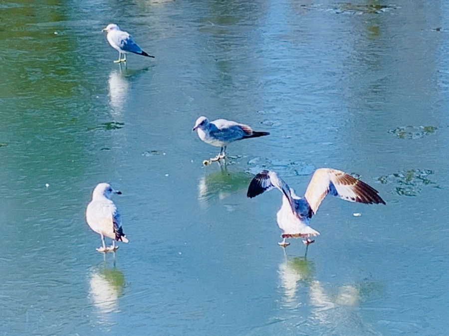 IMG_9020.jpg?type=w966