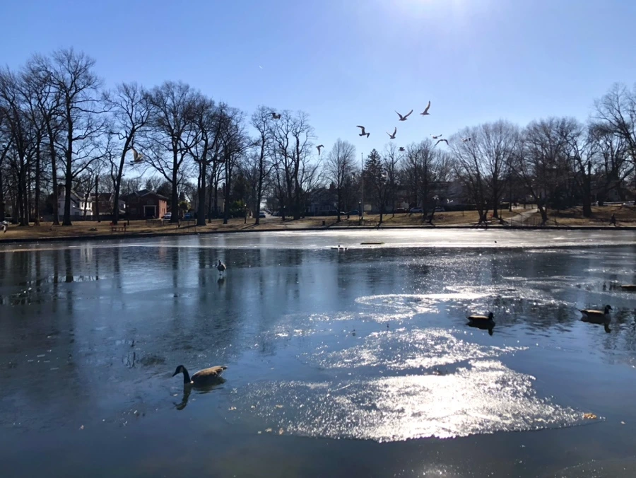 IMG_8016.jpg?type=w966