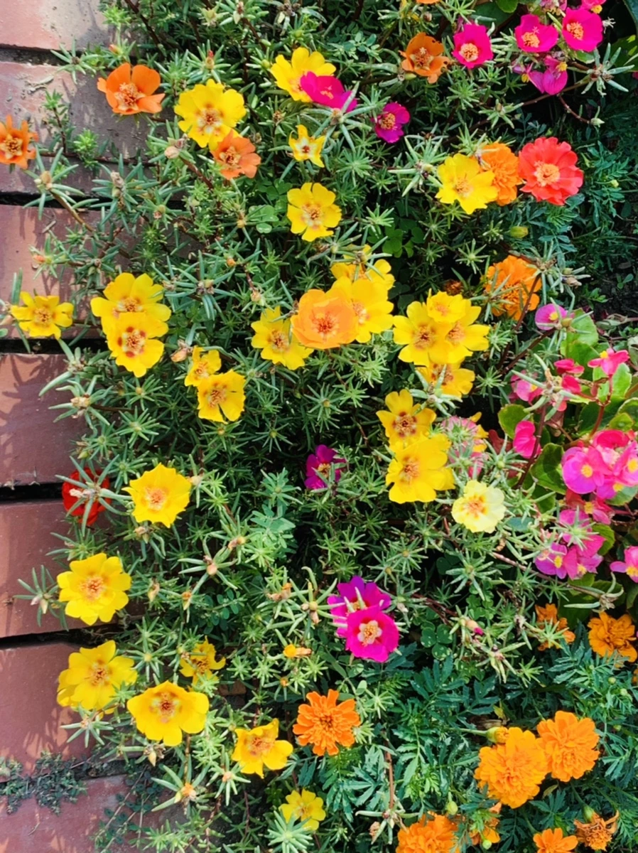 IMG_6650.jpg?type=w966