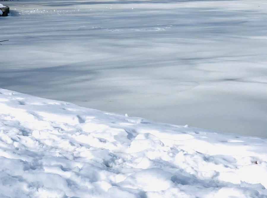 IMG_0132.jpg?type=w966