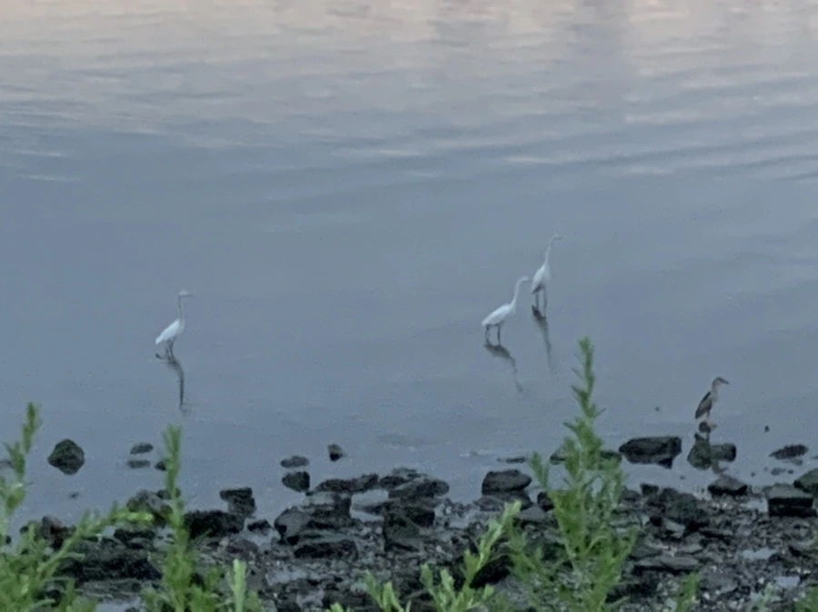 IMG_9601.jpg?type=w966