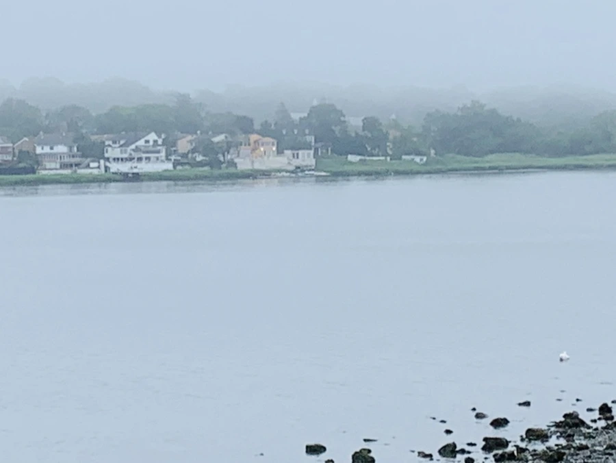 IMG_5237.jpg?type=w966