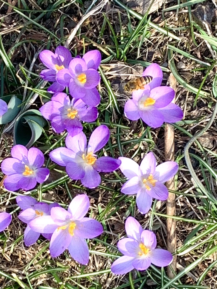 IMG_0218.jpg?type=w966