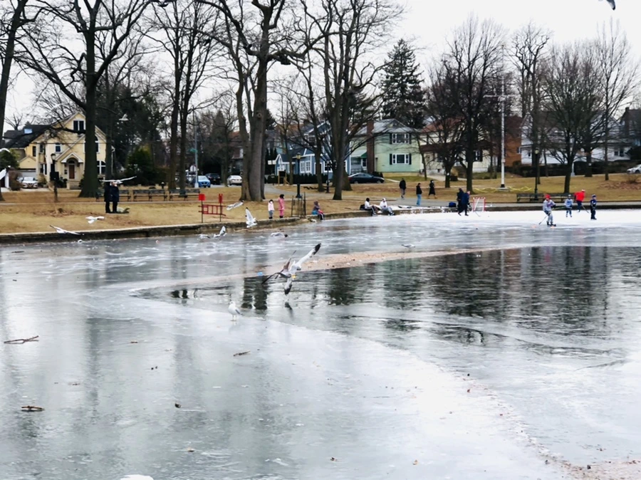 IMG_8712.jpg?type=w966