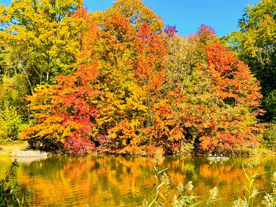 IMG_1630.jpg?type=w966