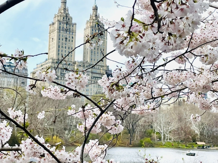 IMG_9846.jpg?type=w966