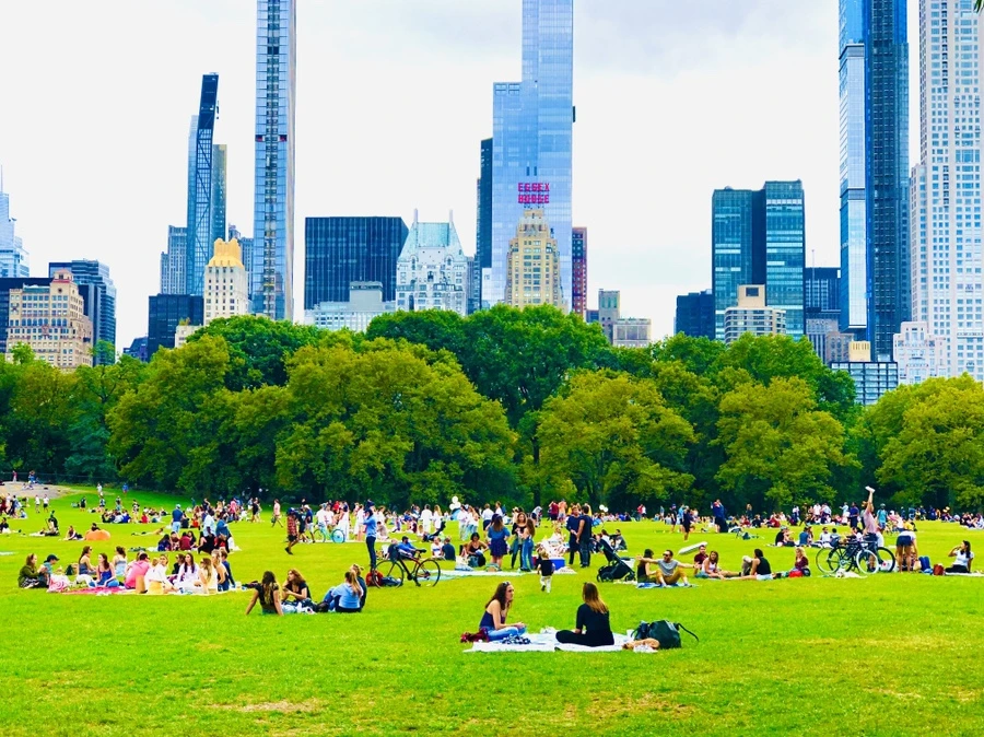 IMG_1043.jpg?type=w966