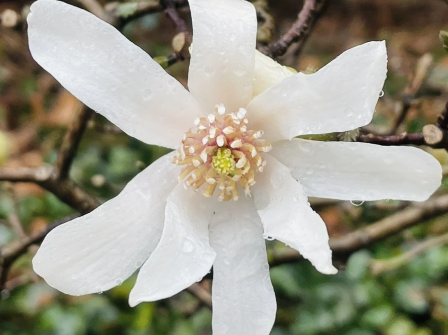 IMG_7361.jpg?type=w966