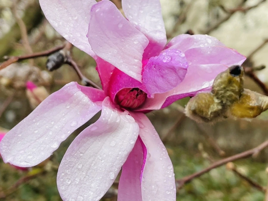 IMG_7380.jpg?type=w966