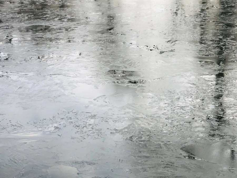 IMG_0174.jpg?type=w966