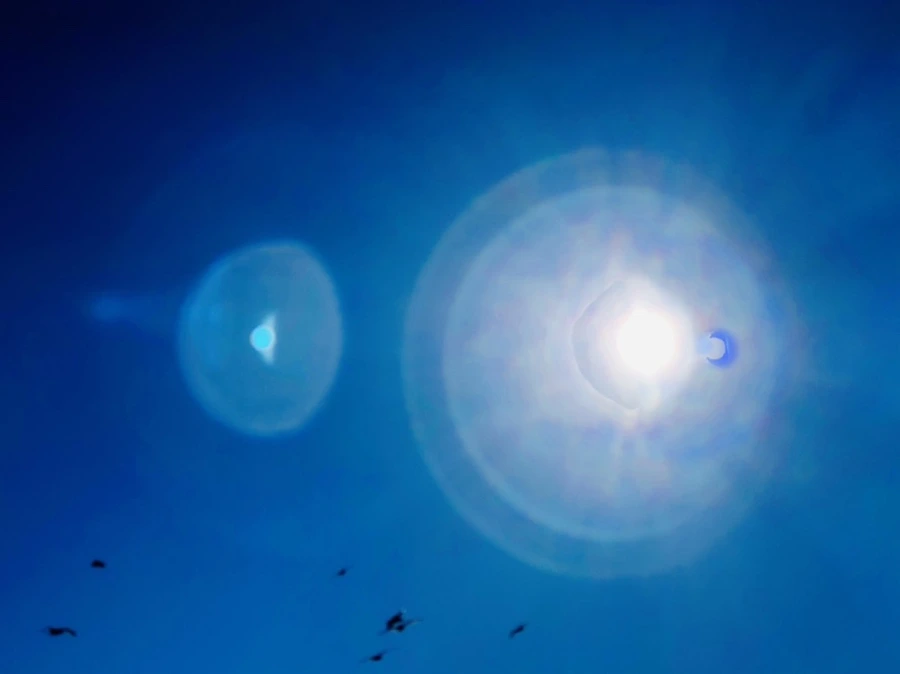 IMG_8107.jpg?type=w966