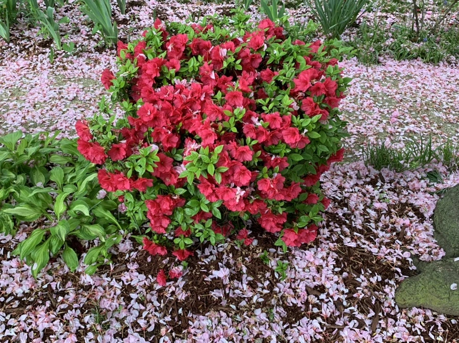 IMG_9690.jpg?type=w966