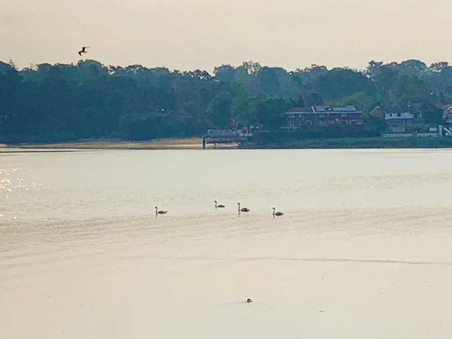 IMG_2221.jpg?type=w966