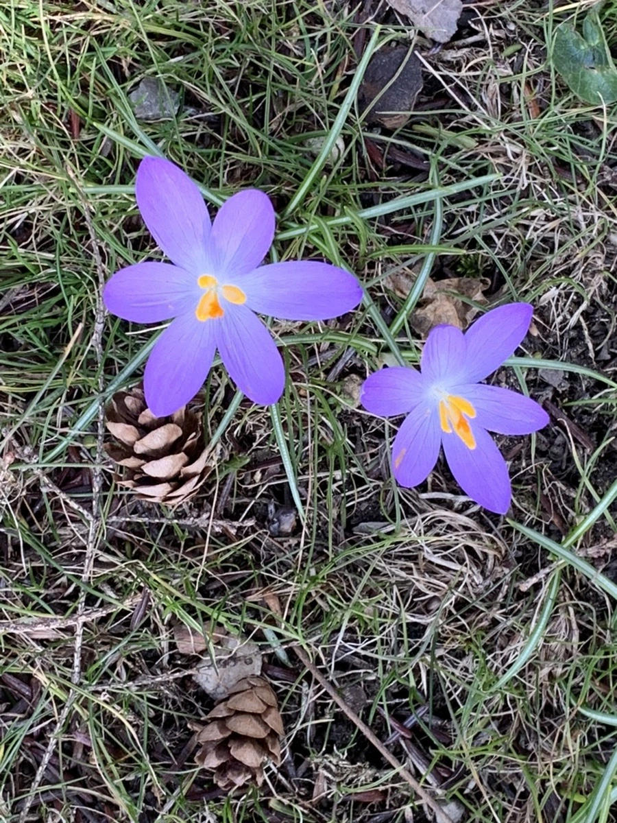 R5EZd5UJ61Gd-K6QP2IE7hwBKLU