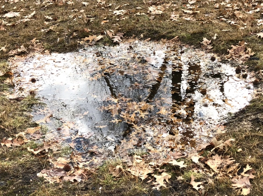 IMG_3494.jpg?type=w966