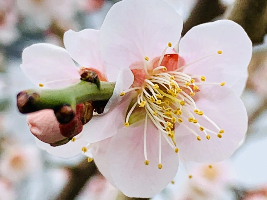 IMG_3681.jpg?type=w966