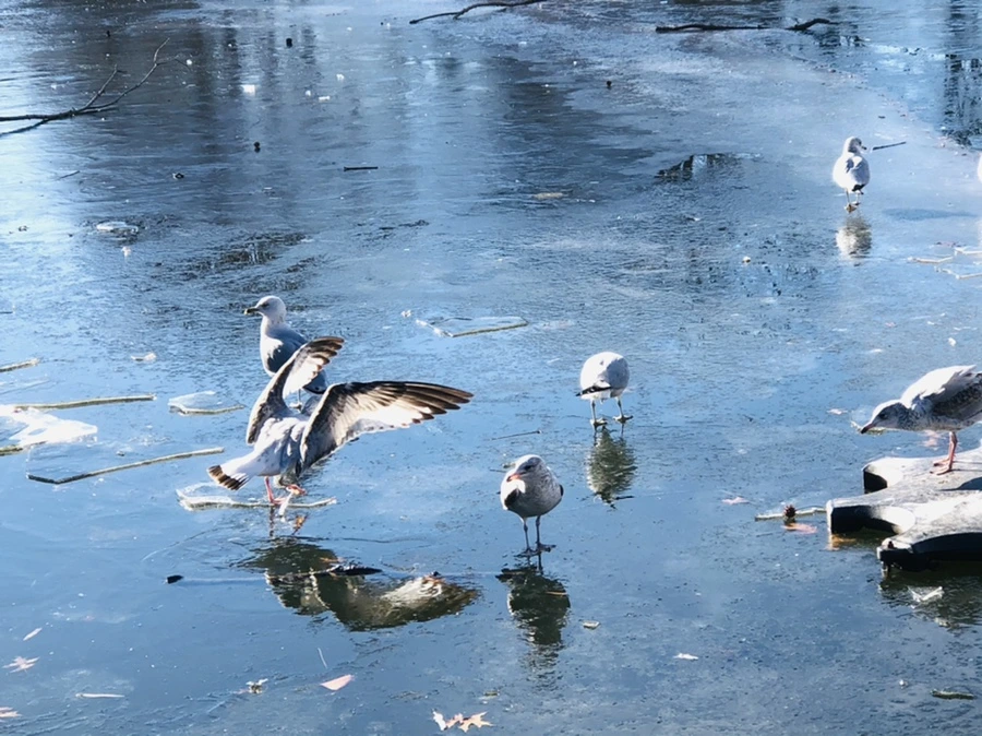 IMG_1859.jpg?type=w966