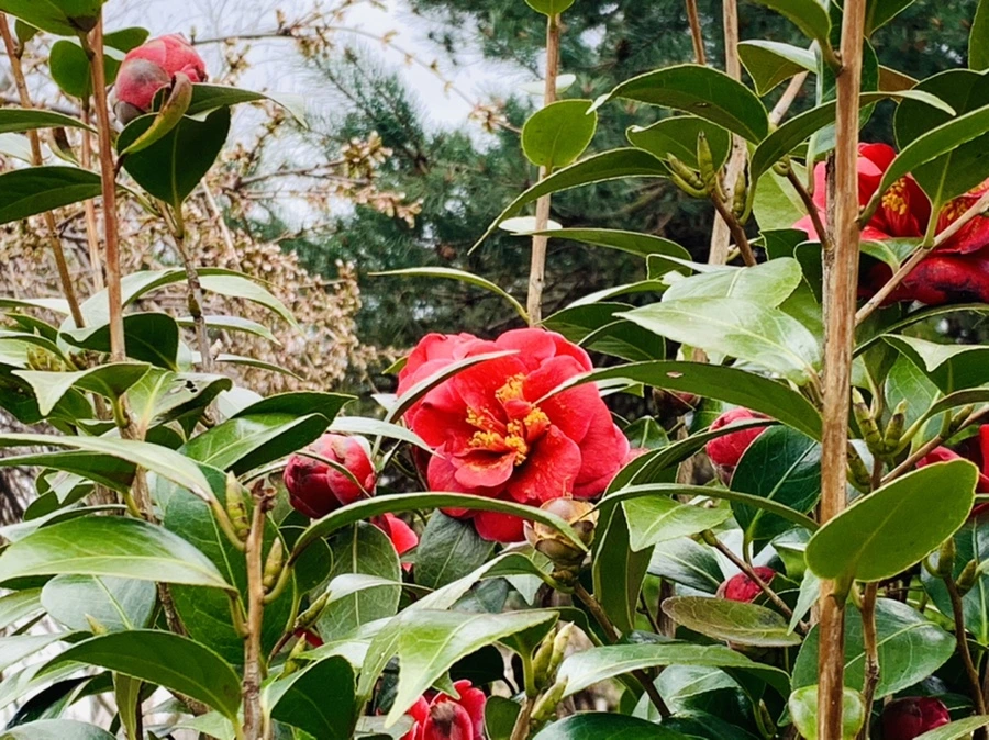 IMG_6626.jpg?type=w966