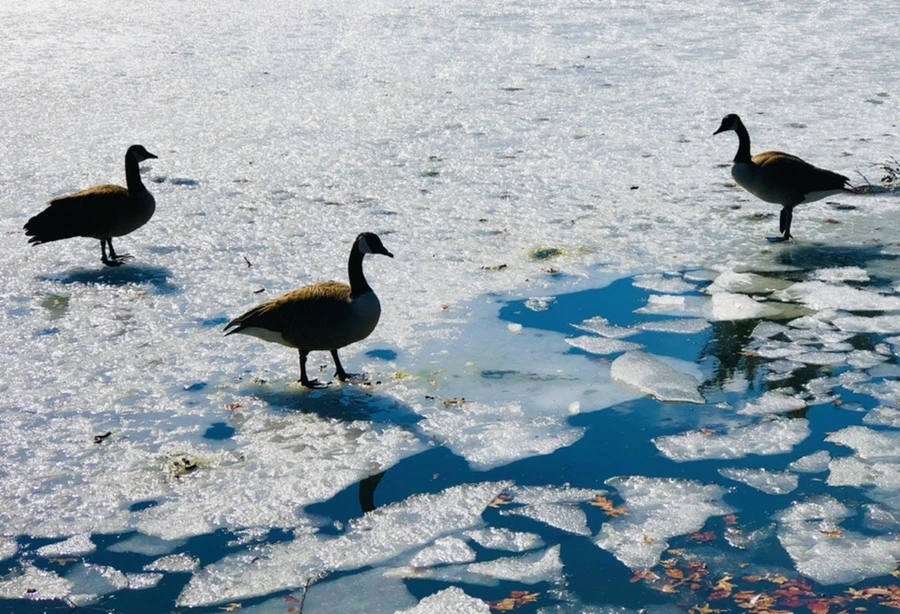 IMG_5045.jpg?type=w966