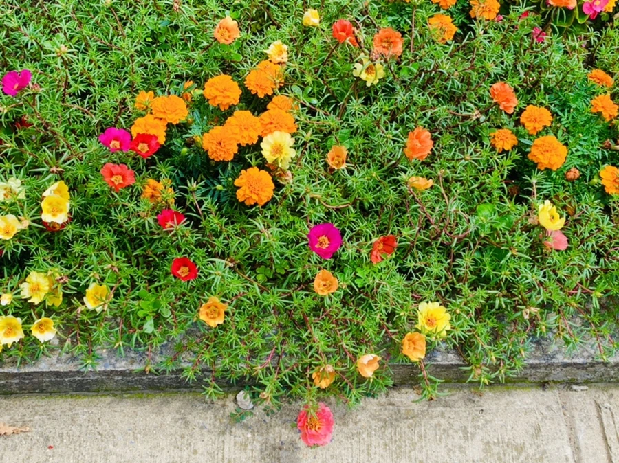 IMG_0663.jpg?type=w966