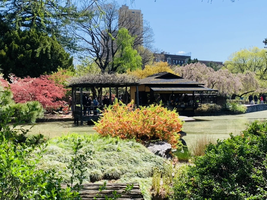 IMG_4735.jpg?type=w966