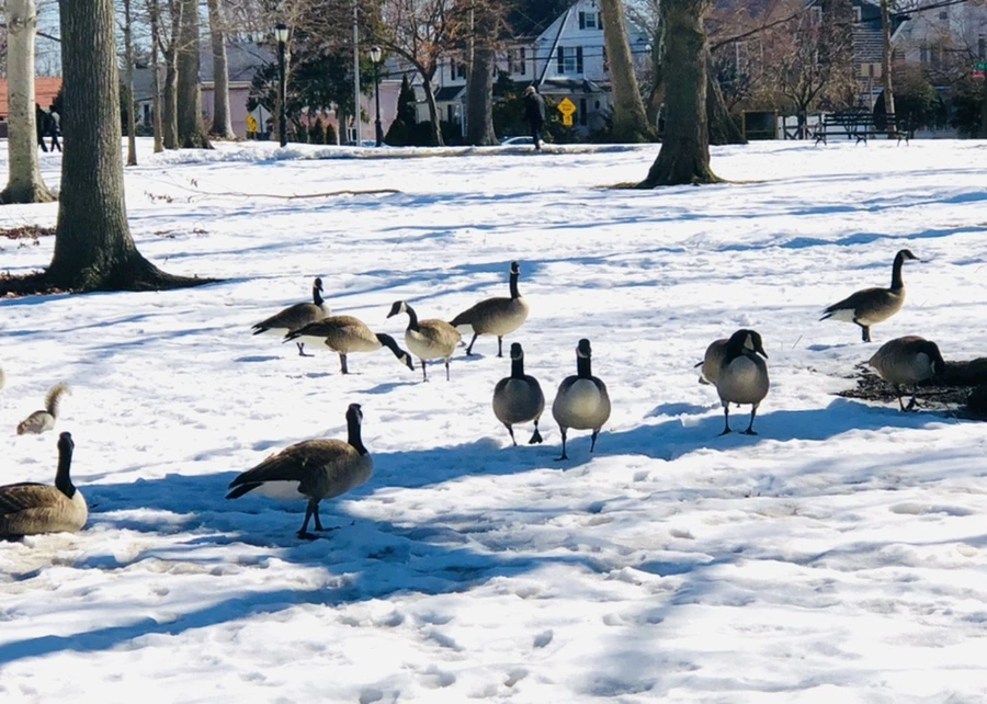 IMG_4524.jpg?type=w966