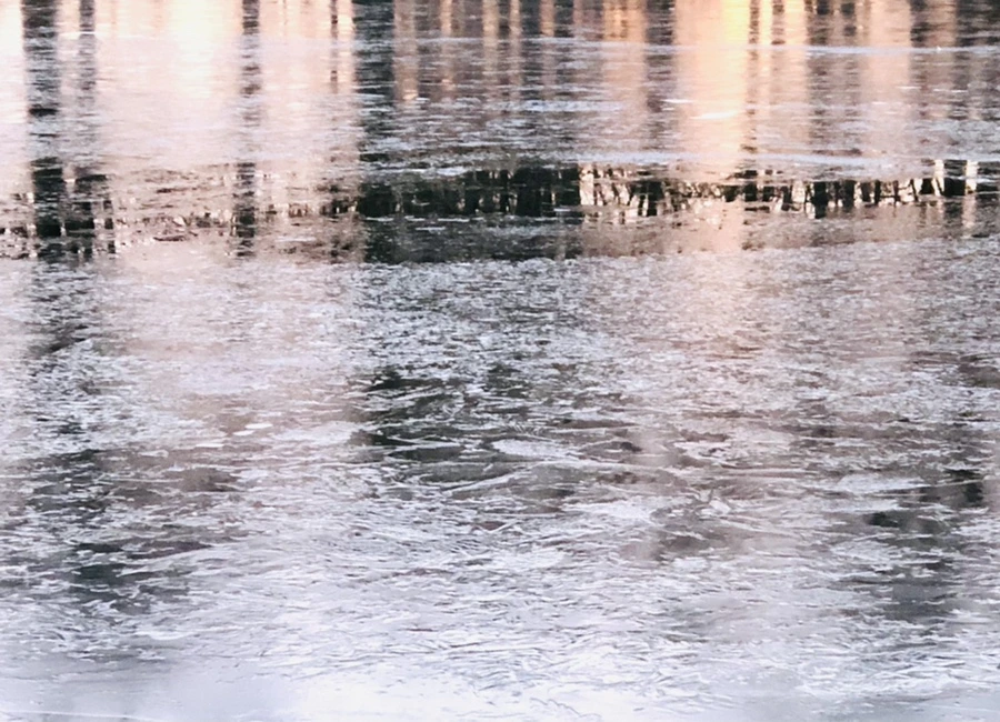 IMG_1907.jpg?type=w966