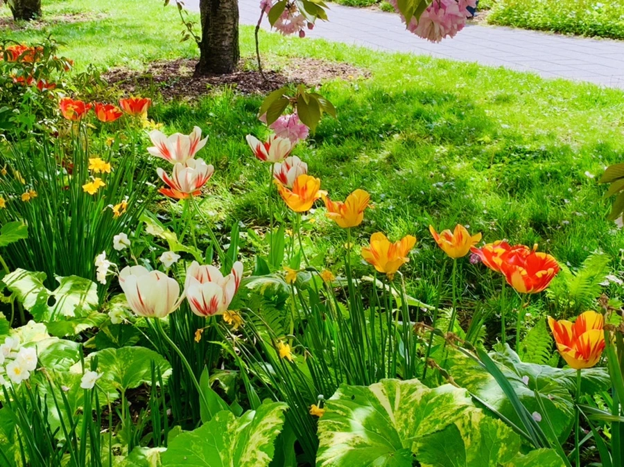 IMG_6874.jpg?type=w966