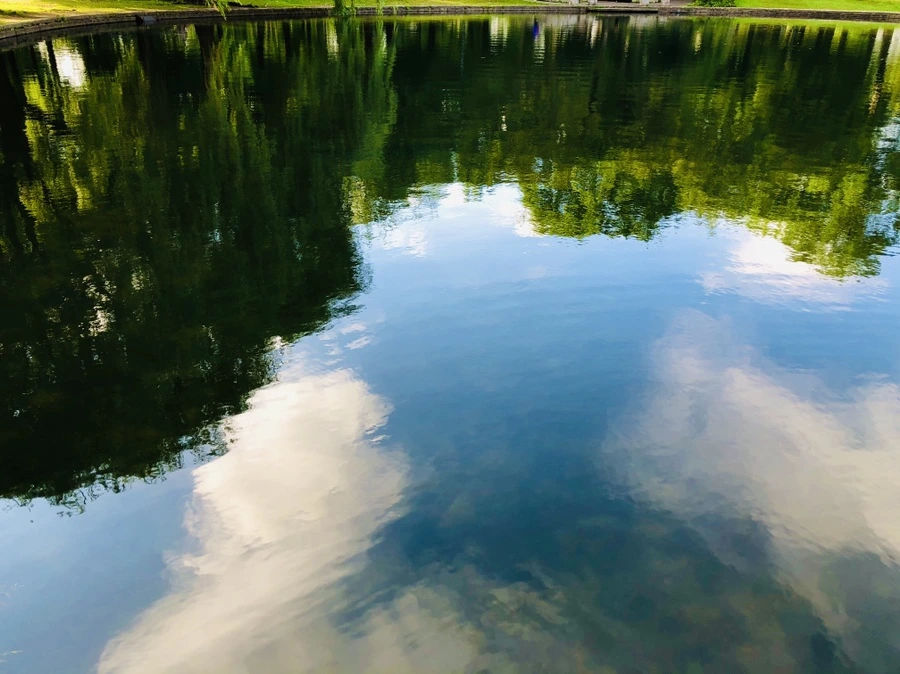 IMG_2943.jpg?type=w966