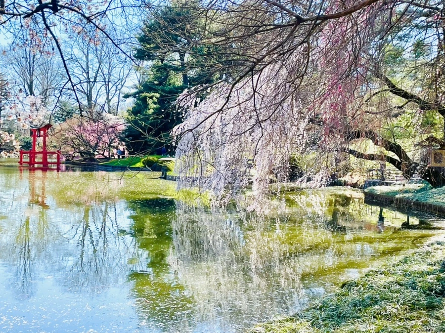 IMG_9516.jpg?type=w966