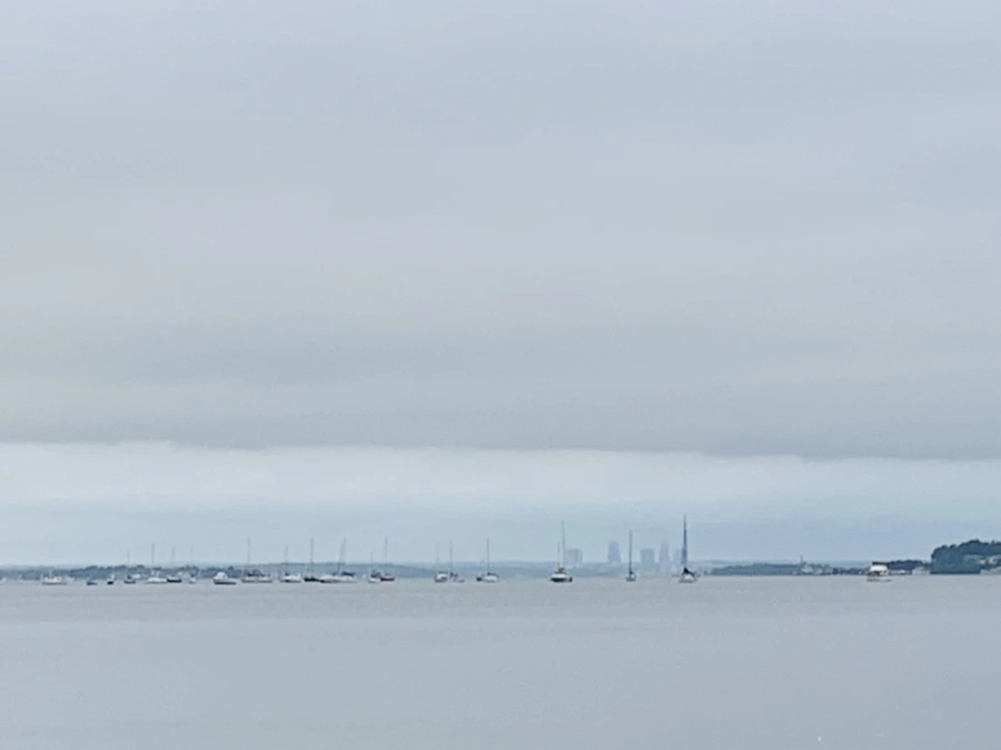 IMG_7051.jpg?type=w966