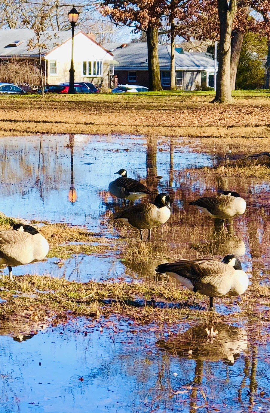 IMG_9785.jpg?type=w966