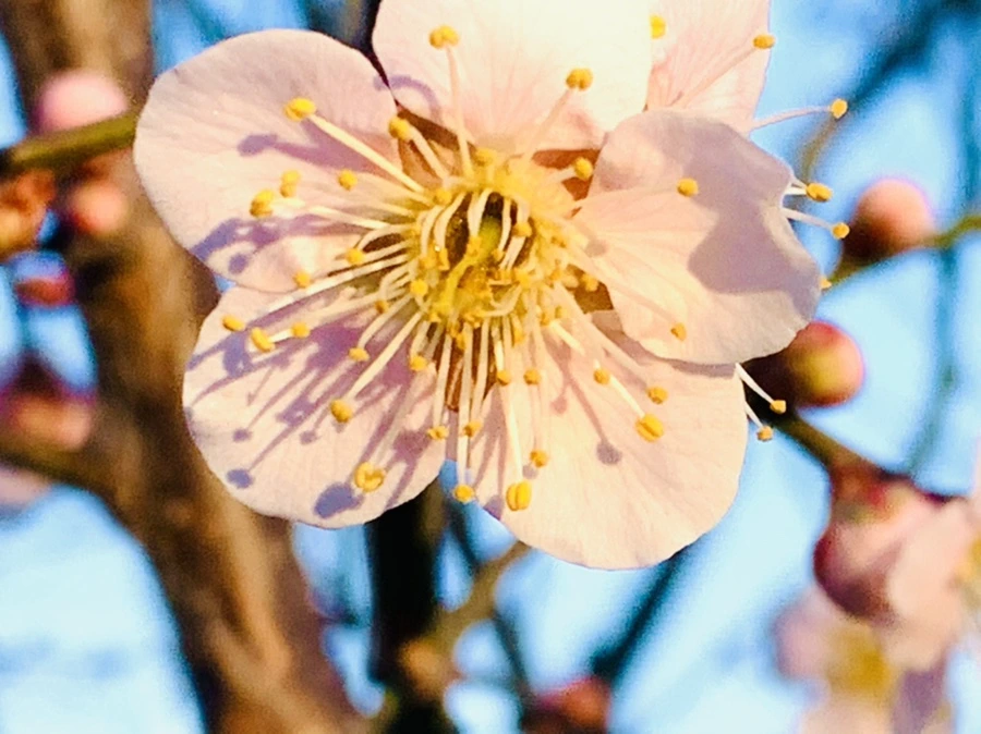 IMG_0916.jpg?type=w966