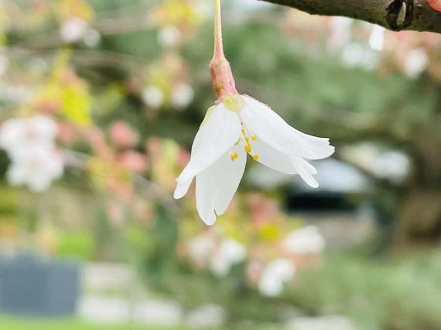 IMG_1404.jpg?type=w966