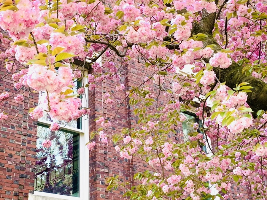 IMG_5120.jpg?type=w966