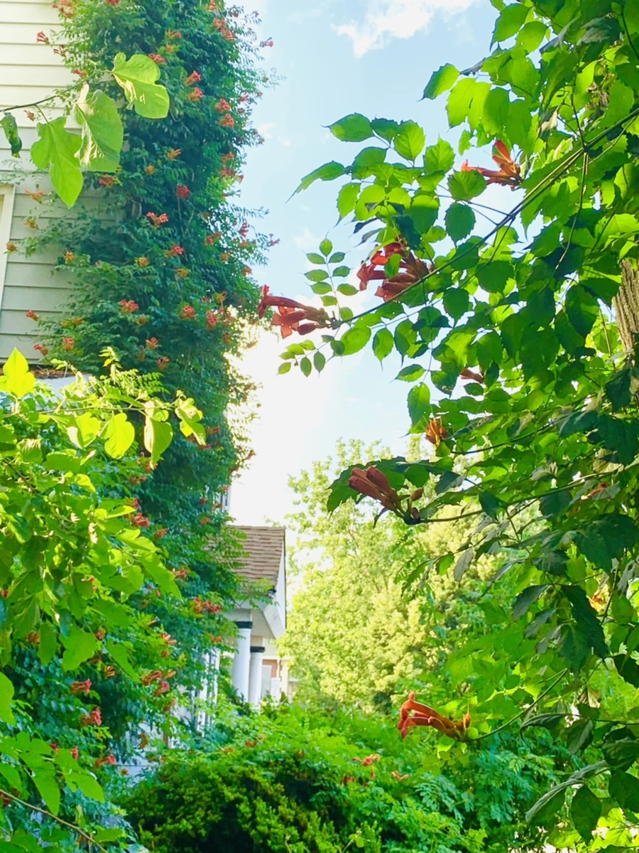 IMG_0888.jpg?type=w966