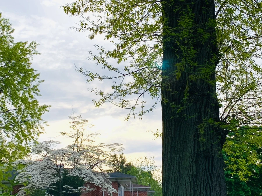 IMG_8997.jpg?type=w966