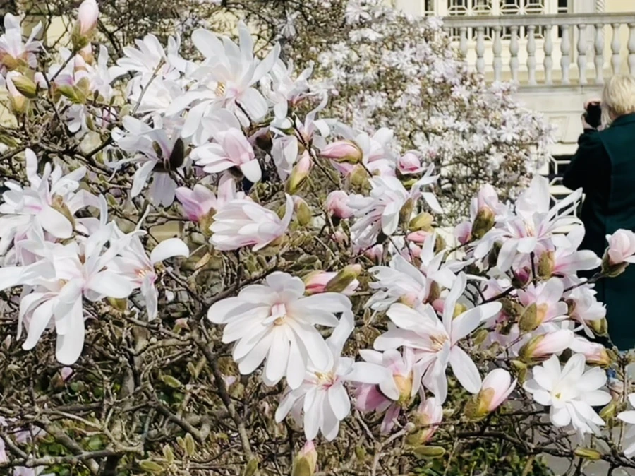 IMG_6679.jpg?type=w966