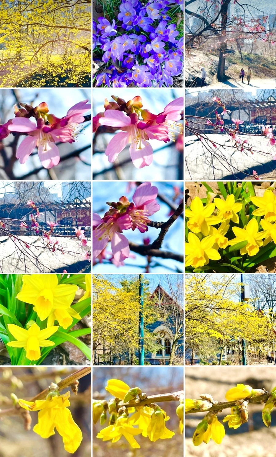 IMG_5649.jpg?type=w966