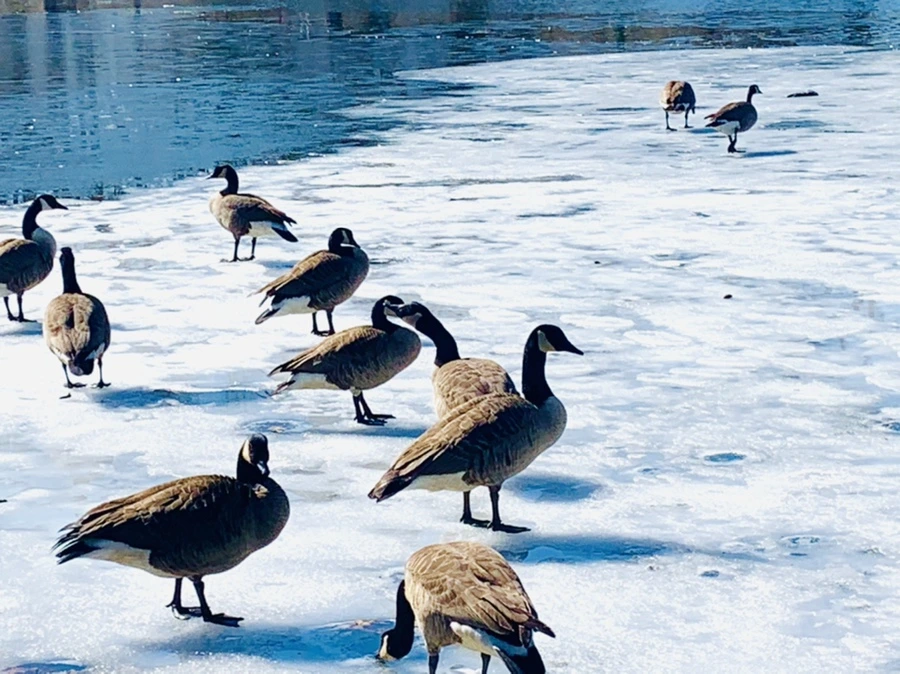 IMG_6902.jpg?type=w966