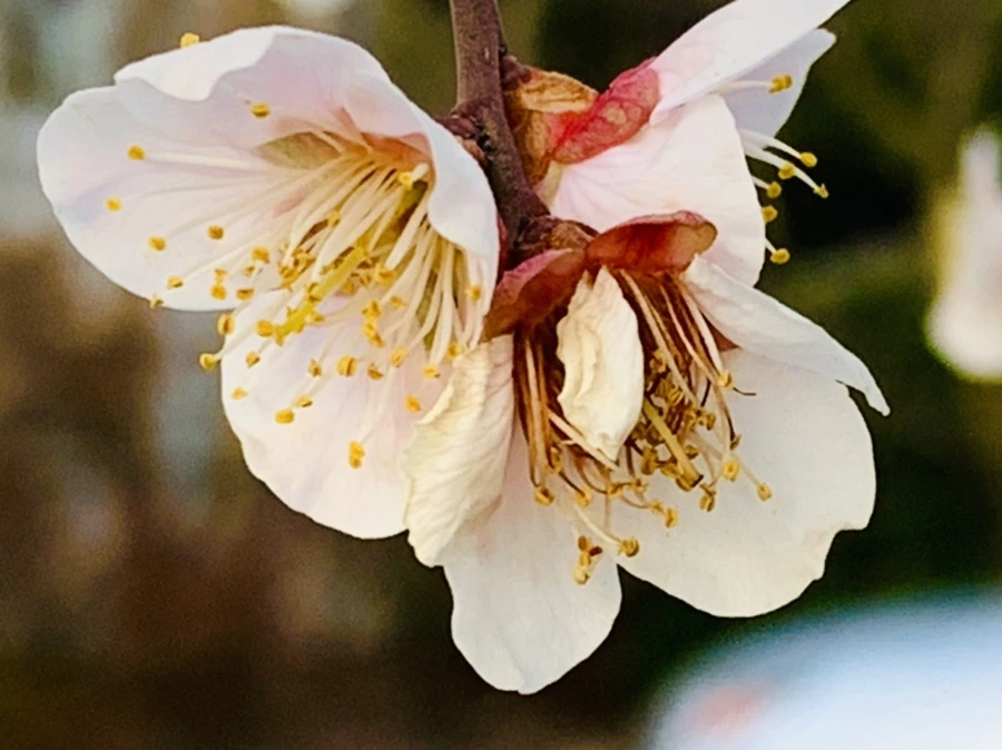 IMG_2792.jpg?type=w966