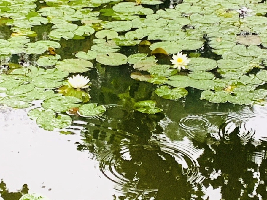 _3WGcALbutCuhCk9BKwtw_OWQv8