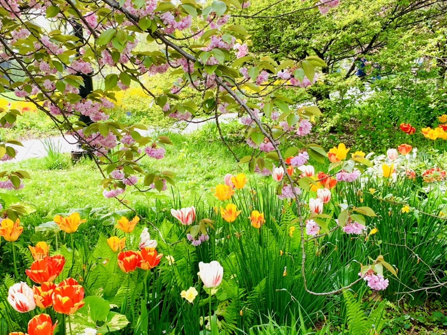 IMG_7028.jpg?type=w966