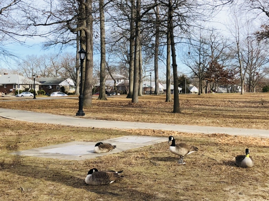 IMG_5782.jpg?type=w966