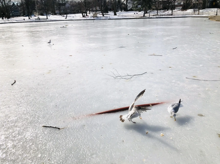 IMG_3204.jpg?type=w966