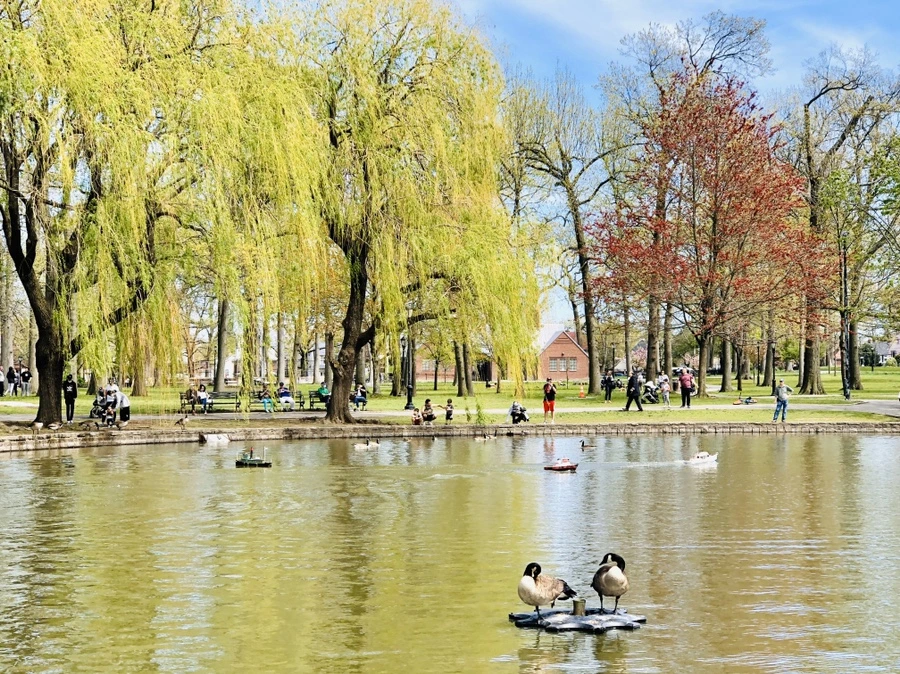 IMG_7220.jpg?type=w966