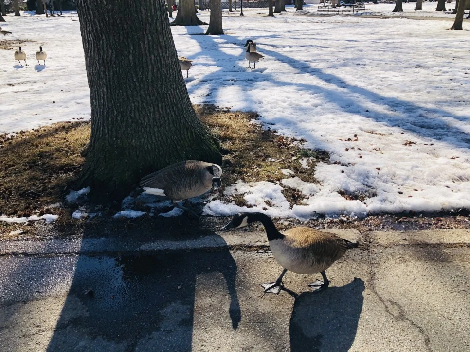 IMG_4582.jpg?type=w966