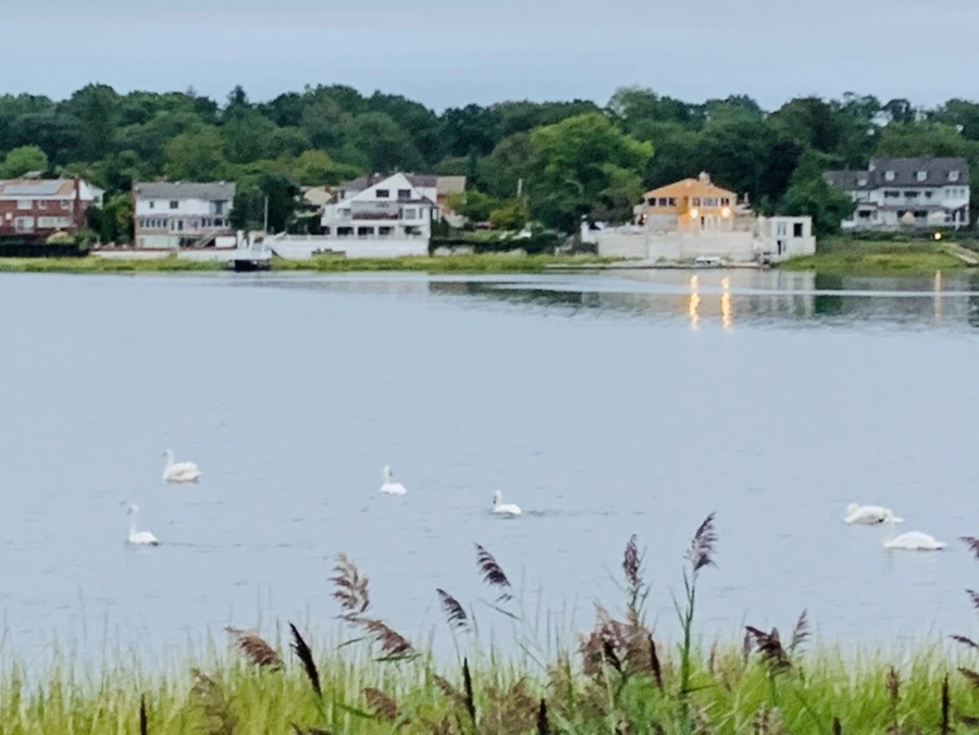 IMG_6170.jpg?type=w966