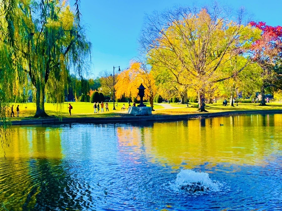 IMG_2549.jpg?type=w966