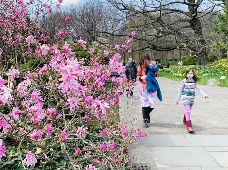 IMG_7244.jpg?type=w966